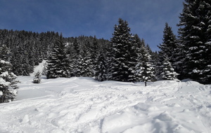 sortie 5 du mercredi 4 fevrier