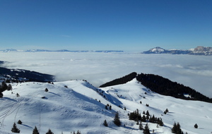 Derniere sortie du 25/03/26